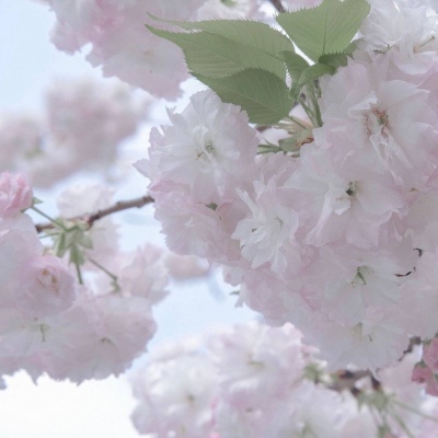 兽设节日场景创作福瑞群